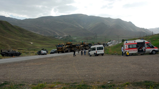 Van'daki hain pusudan kareler - Resim: 4