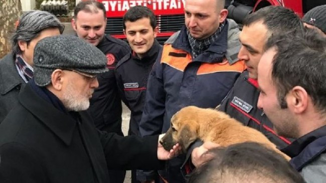 Kuyu köpeğe ne oldu karantinaya alındı iddiası - Resim: 4