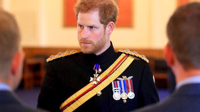 Prens Harry'e şok! Bilgisayarında çocuk pornosu ve hayvanlara tecavüz görüntüsü çıktı - Resim: 3