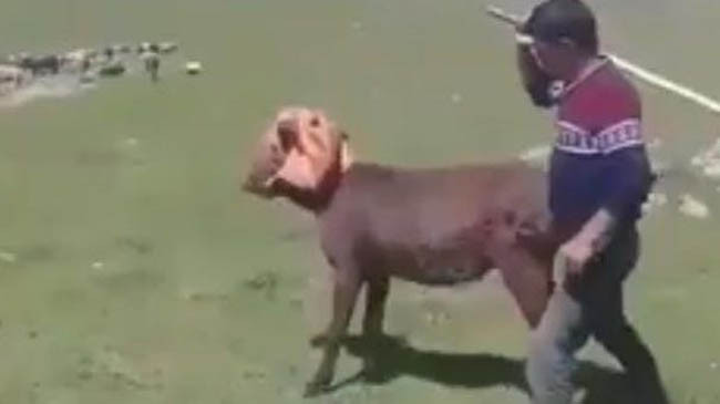 İzleyenin kanı donuyor! O cani yakalandı - Resim: 4