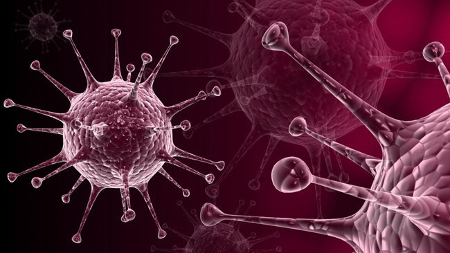 Gribin ilacı antibiyotik değil - Resim: 4