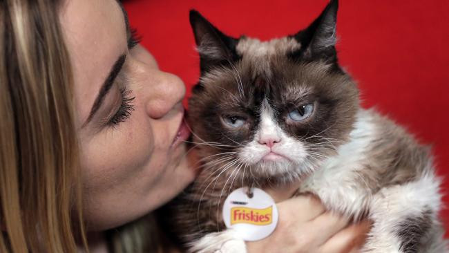 Dünyanın en ünlü 'meme'sine 710 bin dolar! - Resim: 3