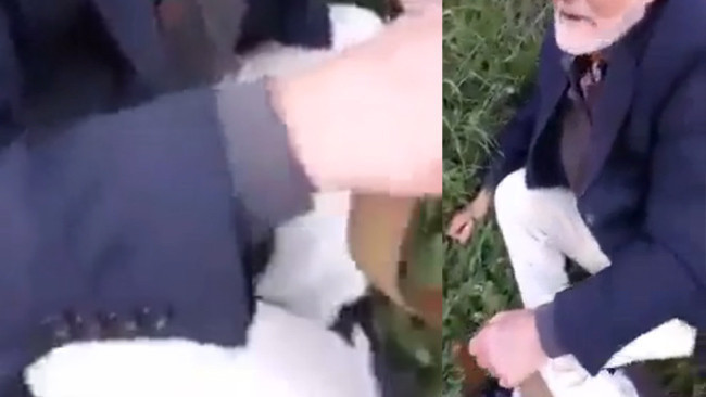 Köpeğe tecavüz eden dedenin akıbeti belli oldu! - Resim: 3