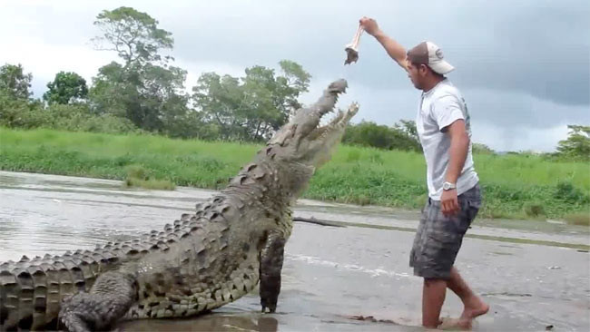 Timsahla oyun olmaz - Resim: 3