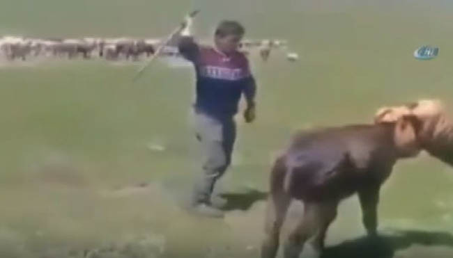 İzleyenin kanı donuyor! O cani yakalandı - Resim: 2