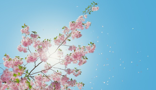 Cemre ne zaman düşecek? Havalar ısınacak mı? - Resim: 1