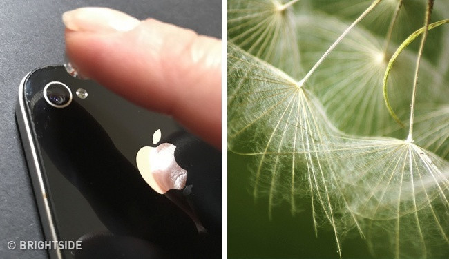 Akıllı telefonla  profosyonel fotoğraf nasıl çekilir? - Resim: 1