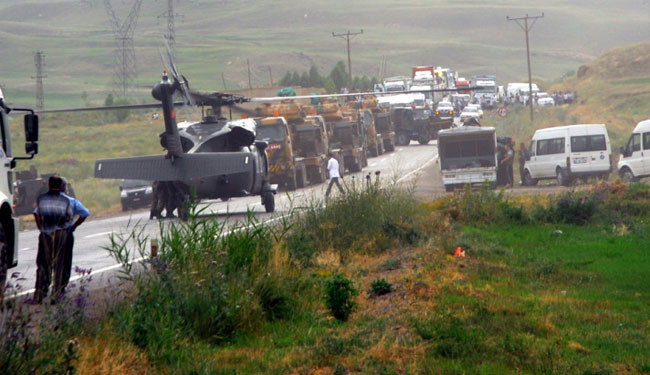 Van'daki hain pusudan kareler - Resim: 1