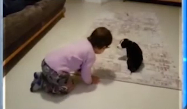 Dilek Çakır konuştukça ATV'nin santrali kilitlendi her lafı ibretlik - Resim: 4