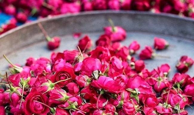 Hangi koku neye iyi gelir? - Resim: 4