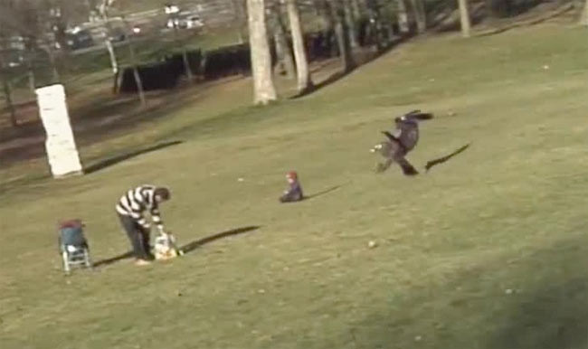 Kartal çocuğu kaçırmaya kalktı - Resim: 4