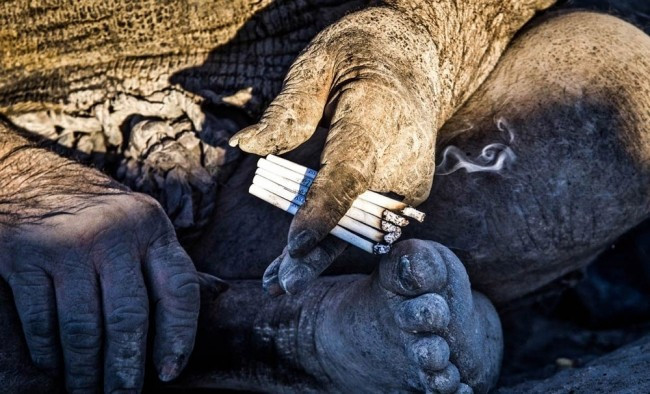 Ne traş oluyor ne banyo yapıyor 60 yıldır suya dokunmuyor! - Resim: 3