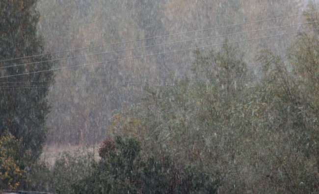 Van'da korkulan oldu - Resim: 3