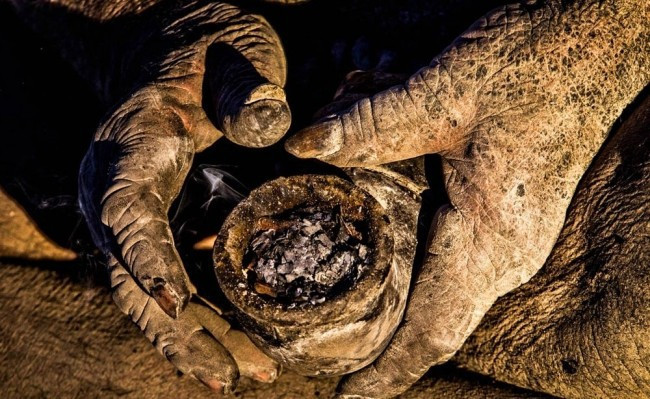 Ne traş oluyor ne banyo yapıyor 60 yıldır suya dokunmuyor! - Resim: 1