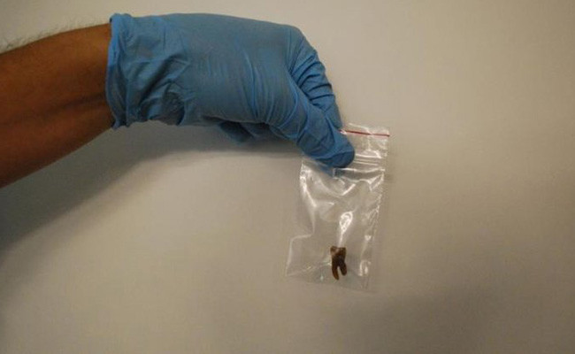 FBI olaya dahil olunca 4 bin yıllık mumyanın sırrı çözüldü!  - Resim: 2