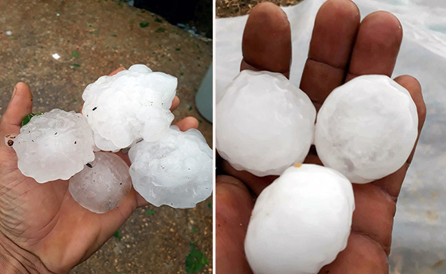 Antalya'yı ceviz büyüklüğünde dolu vurdu! Çok sayıda sera zarar gördü - Resim: 1