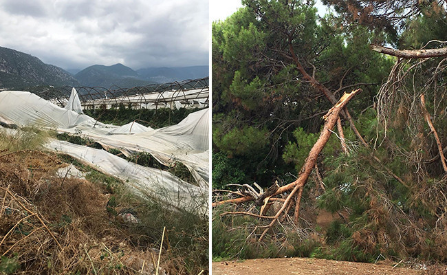 Antalya'yı ceviz büyüklüğünde dolu vurdu! Çok sayıda sera zarar gördü - Resim: 2