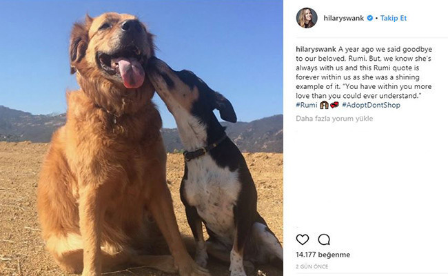 Oscarlı yıldız Hilary Swank ölen köpeğini Mevlana'nın sözüyle andı - Resim: 2