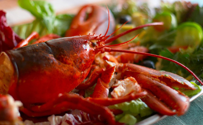 Prostat olmamak için mutlaka tüketmeniz gereken 9 besin - Resim: 3