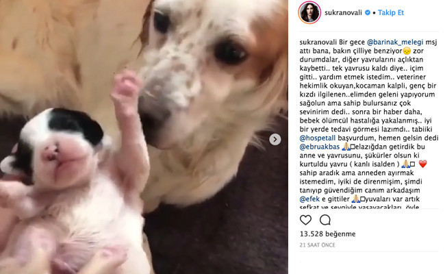 Şükran Ovalı yine herkesi kendine hayran bıraktı!  - Resim: 2