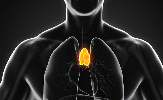 Bağışıklık sistemini güçlendirmek için hangi besinleri tüketmeliyiz? - Resim: 1