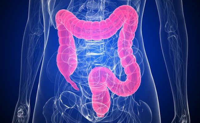 Bağırsak sağlığı için mutlaka tüketilmesi gereken 5 besin - Resim: 1