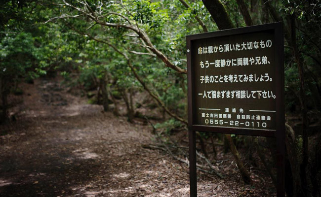 Okuyunca kanınız donacak bu ormana gelen insanlar birer birer... - Resim: 3