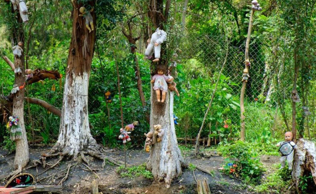 Okuyunca kanınız donacak bu ormana gelen insanlar birer birer... - Resim: 4