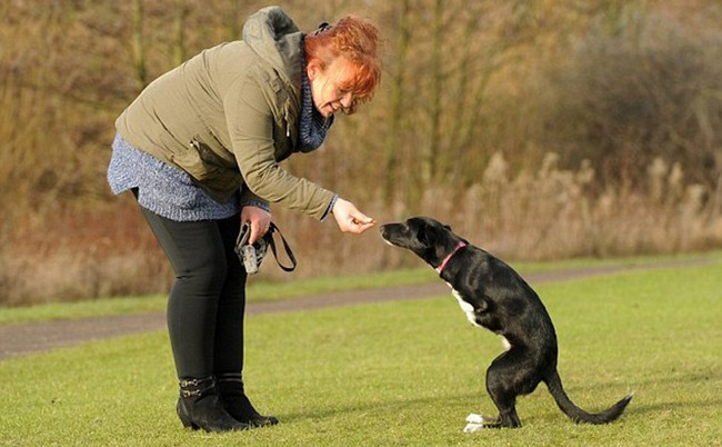 Bu köpek tam bir mucize - Resim: 1