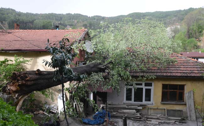 Fırtına tüm yurdun altını üstüne getirdi - Resim: 3