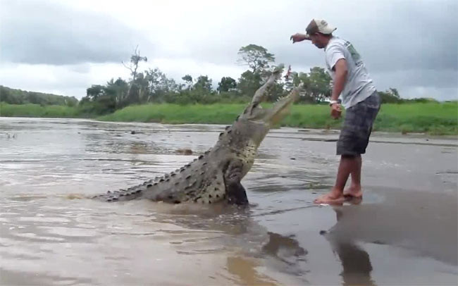 Timsahla oyun olmaz - Resim: 4