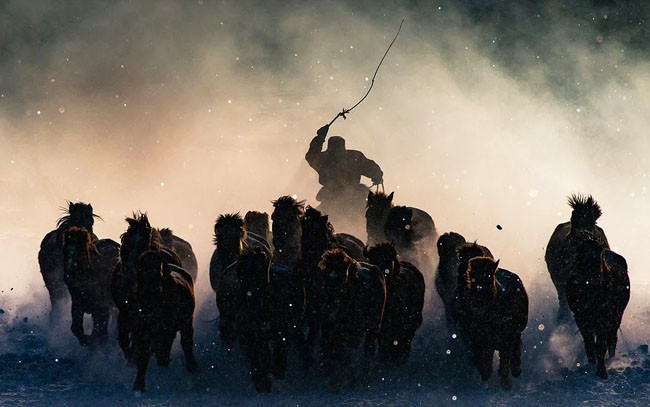 National Geographic yarışması sonuçlandı - Resim: 1