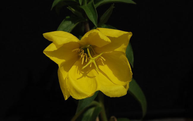 Sizinde tüyleriniz diken diken olacak! - Resim: 2