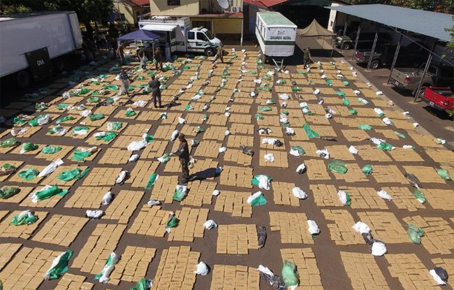 Yersen! Polise göre yarım ton esrarı fareler yedi - Resim: 2