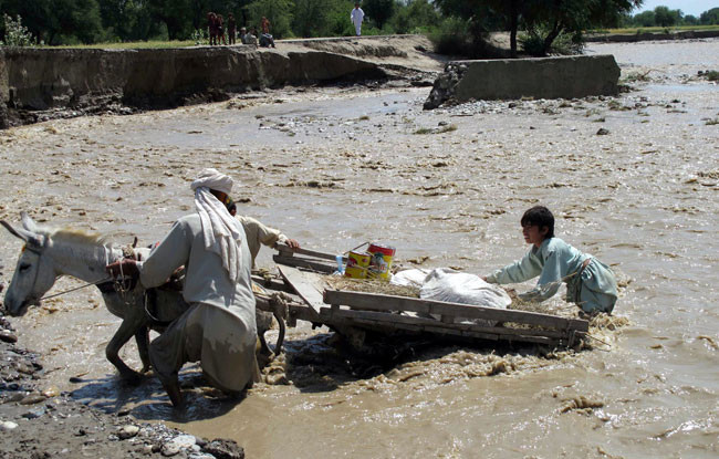Dünya bu fotoğraflara kitlendi! - Resim: 2