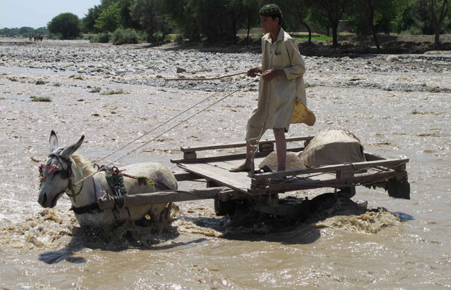 Dünya bu fotoğraflara kitlendi! - Resim: 1