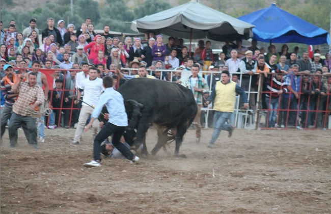 Burası İspanya değil Aydın - Resim: 1
