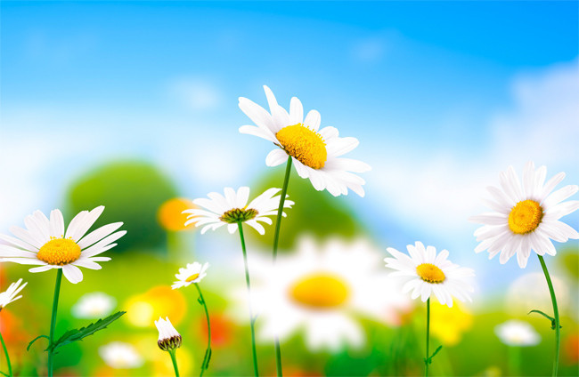 17 Mart hava durumu şahane! Pazara 12 ilde şiddetli yağış... - Resim: 1