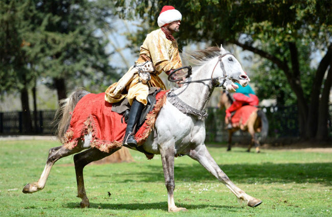 Sarayda Cemal Hünal şov - Resim: 2