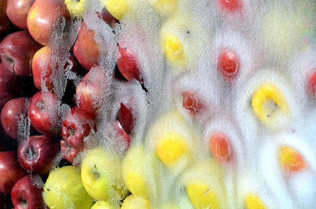 Doğu'da soğuk hava - Resim: 4