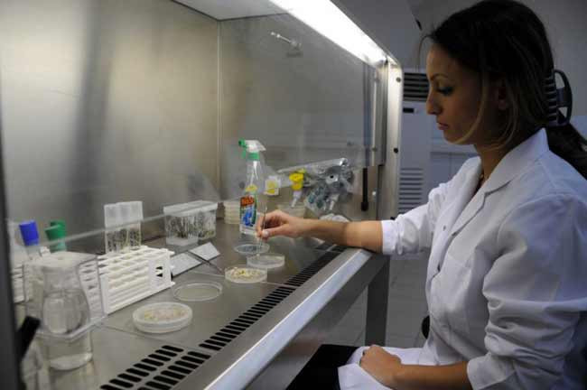 Türk bilimadamlarından dünyada bir ilk - Resim: 1