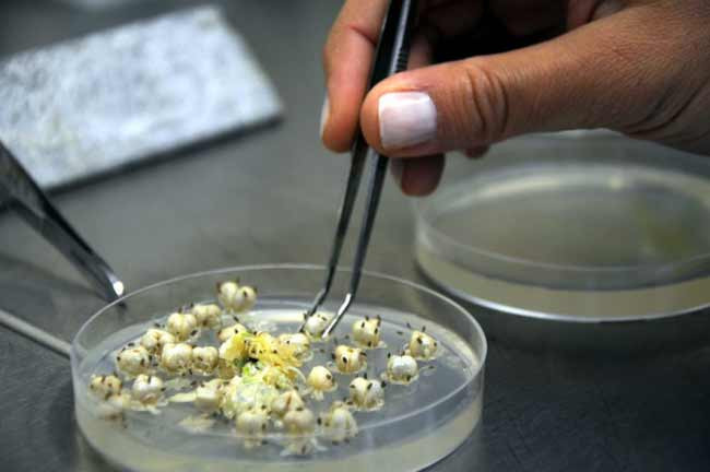 Türk bilimadamlarından dünyada bir ilk - Resim: 2