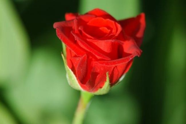 Günahlar nasıl bağışlanır? Kuran ve Hadisler açıklıyor! - Resim: 3