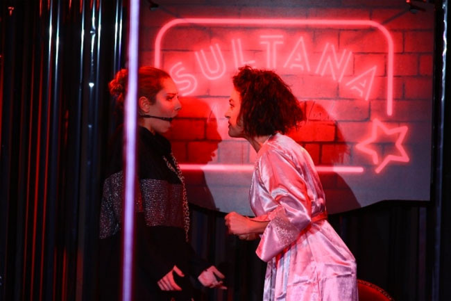 Avlu dizisinin yıldızı direk dansı yaptı kocası da yönetti - Resim: 4