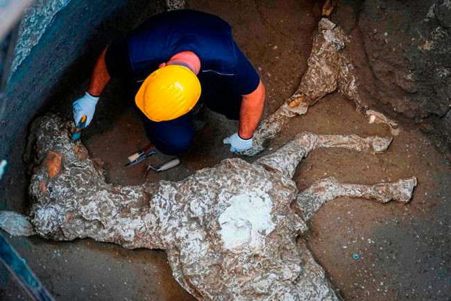 Taş kesilmiş atlar bulundu peki ama sebebi ne? - Resim: 3