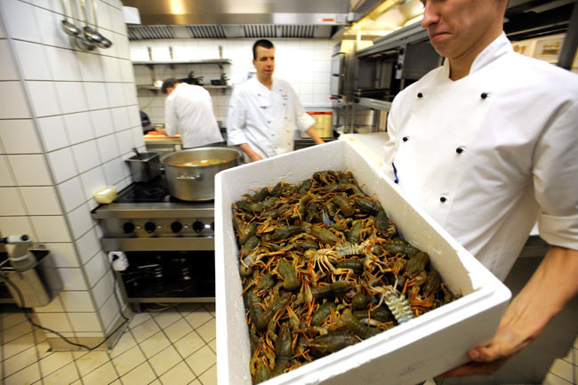 Dünyadaki en can alıcı olayların kareleri! - Resim: 2