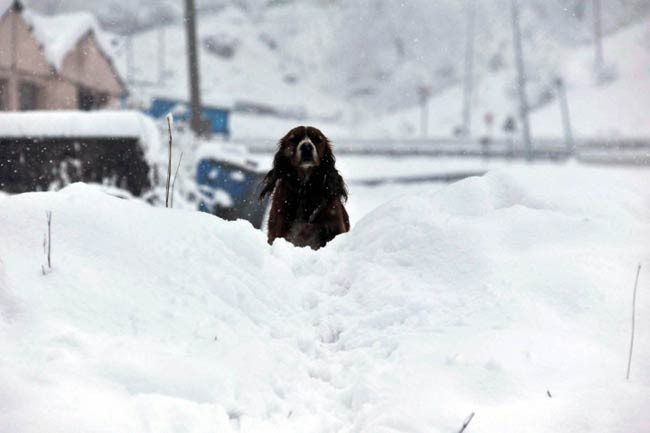 Türkiye bembeyaz! - Resim: 1