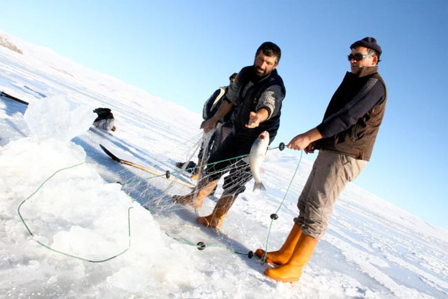 Ardahan'da eskimo usulü balık avı - Resim: 2