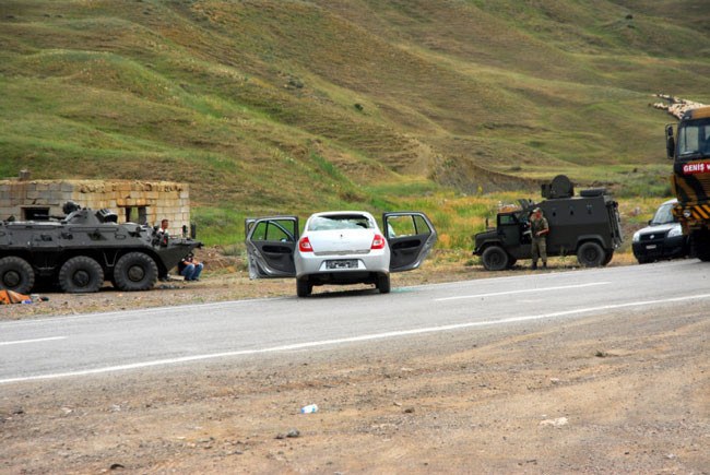 Van'daki hain pusudan kareler - Resim: 2