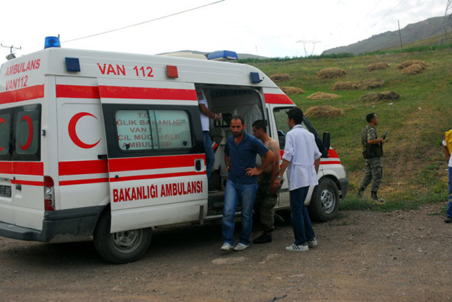 Van'daki hain pusudan kareler - Resim: 3